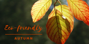 Tuesday Tips - Have an eco-friendly autumn / fall inside and outside.