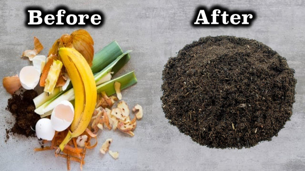 How To Make Compost at Home